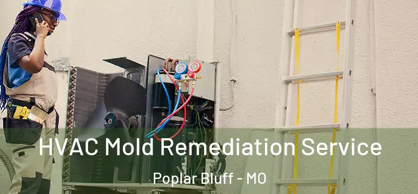  HVAC Mold Remediation Service Poplar Bluff - MO