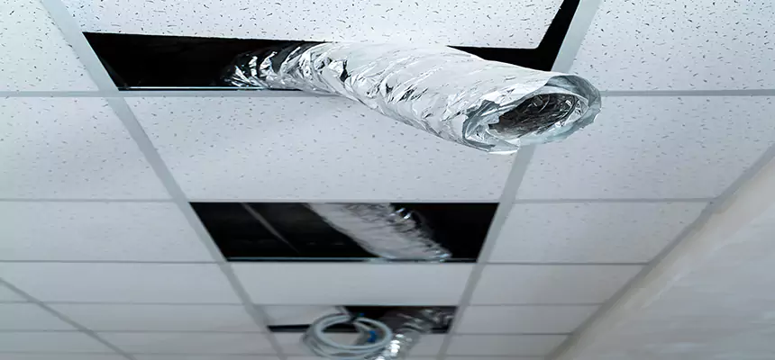 Affordable HVAC Sanitizing After Pest Removal in Poplar Bluff