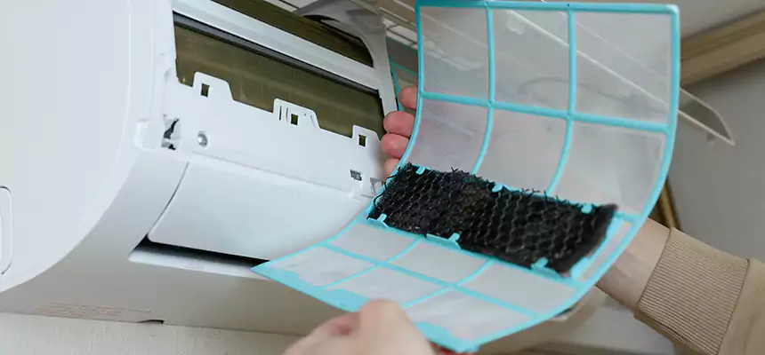 Gentle Ductwork Odor-Control Pet Dander Duct Cleaning in Poplar Bluff, MO