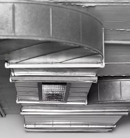 Professional Air Duct Pet Hair Removal in Poplar Bluff, MO