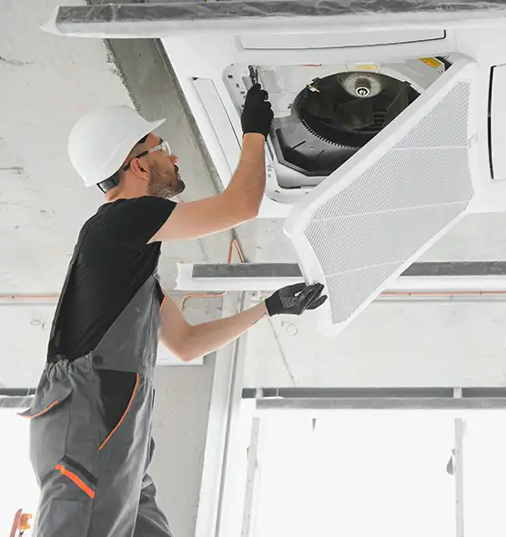 About Air Duct Rodent Removal in Poplar Bluff, MO