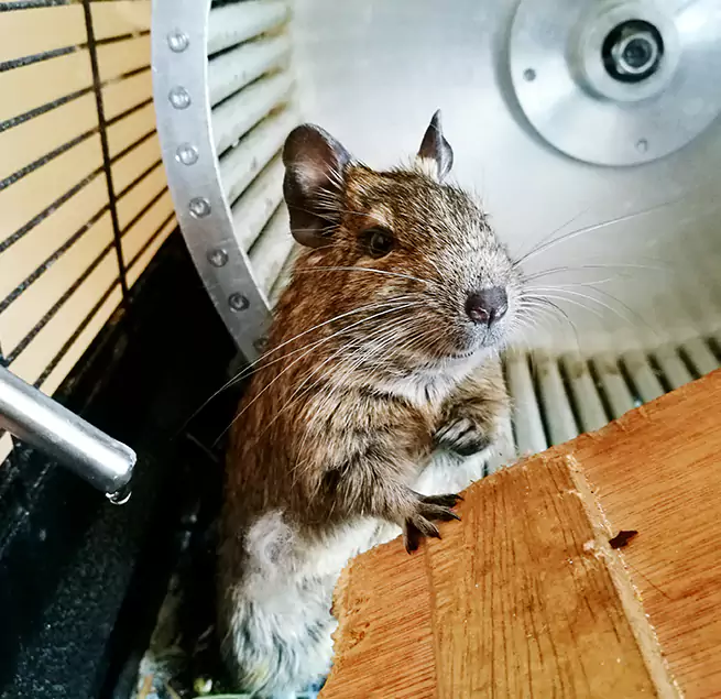 Why Homeowners & Businesses Trust Us Poplar Bluff, MO?