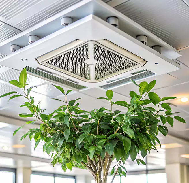 Why Homeowners & Businesses Trust Us in Poplar Bluff, MO